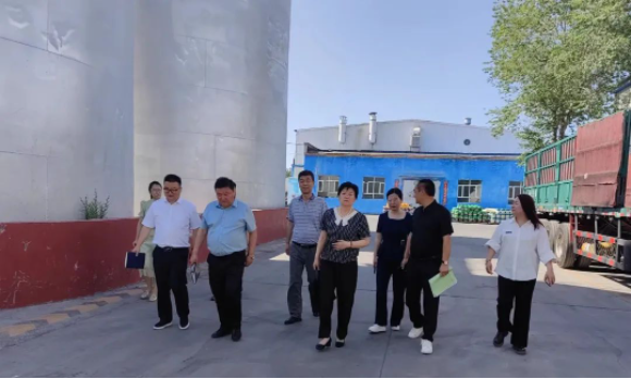 提信心 促發(fā)展|奎屯市副市長、伊犁州科技局局長、奎屯市科技局局長一行調(diào)研金雪馳奎屯工廠